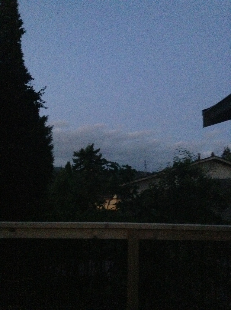 20130705-214515.jpg